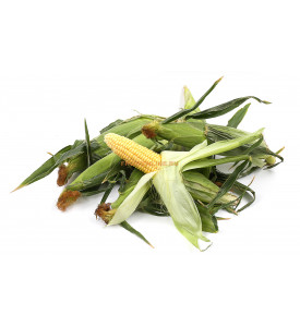 Кукуруза в початках, 1шт